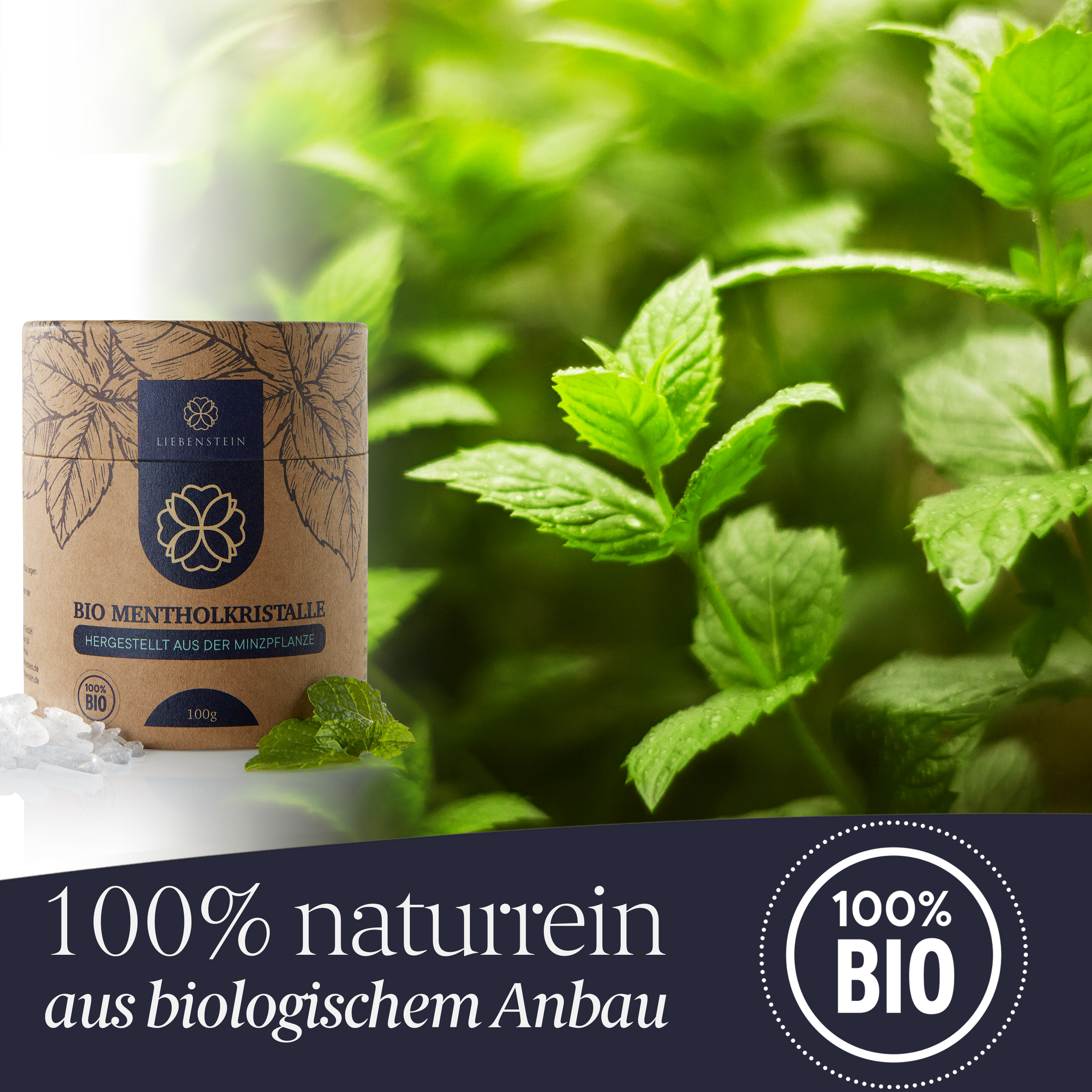 Liebenstein Bio Mentholkristalle für die Sauna 